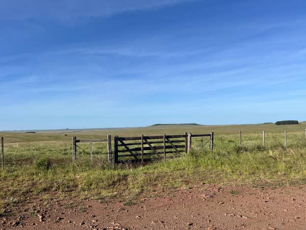 2000 hectáreas. Ganadero en Paysandú Uruguay